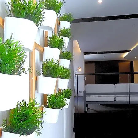 Luxe Hyper Centre Piscine *