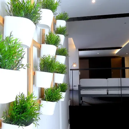 Luxe Hyper Centre Piscine *